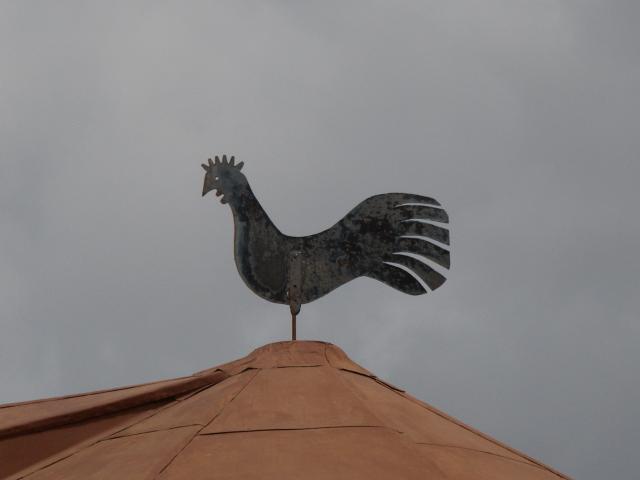 Cockerel detail