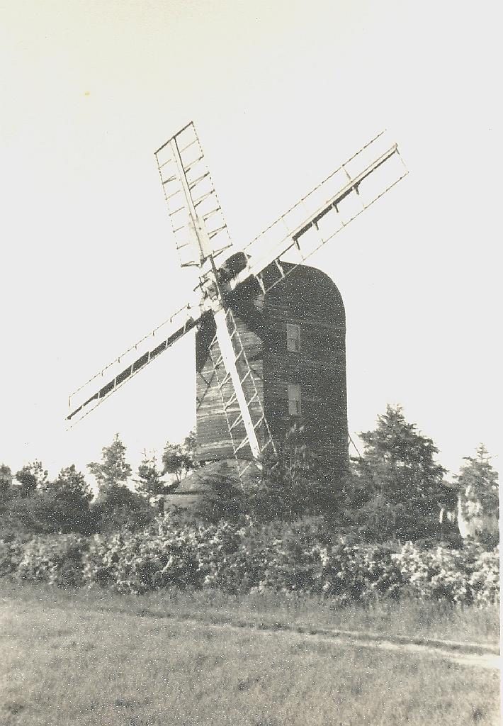 Mill ID 1056