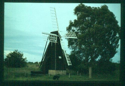 Mill ID 2377